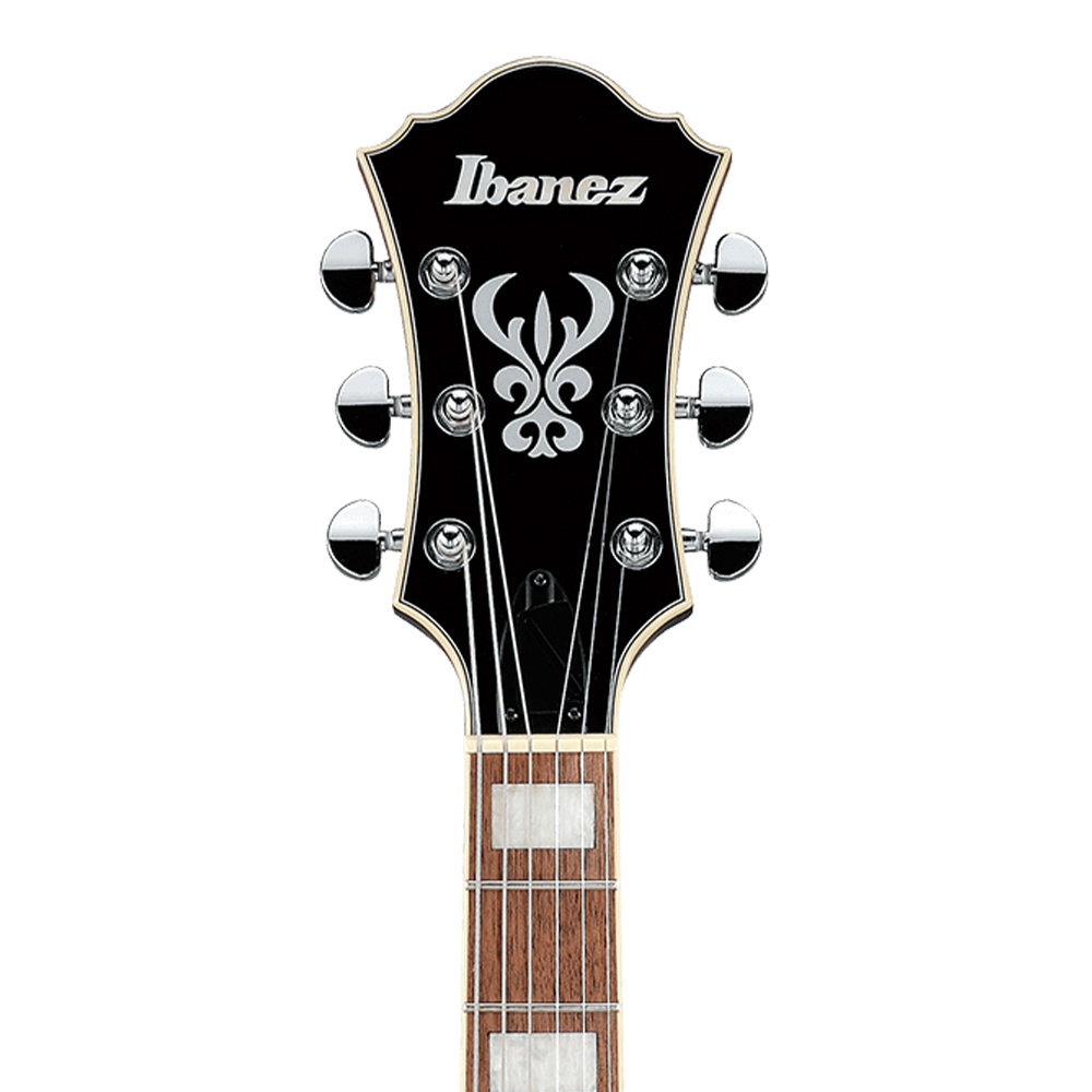 Ibanez AF75-TRS Artcore AF Serisi Hallow Body Elektro Gitar Fiyatı